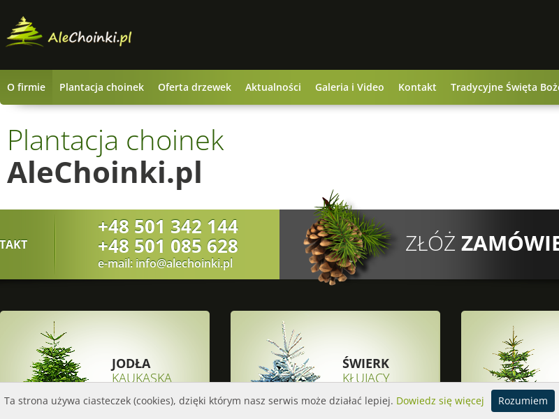 Producent i hurtownia choinek - choinki (hurt) sprzedaż - Alechoinki.pl